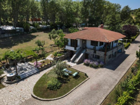 Sotiria house apartment sea view lovely garden